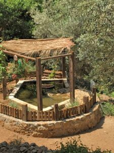 Natur Park In Zia