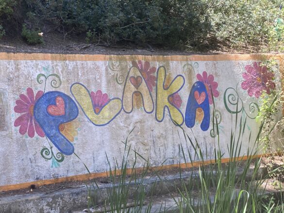 Plaka