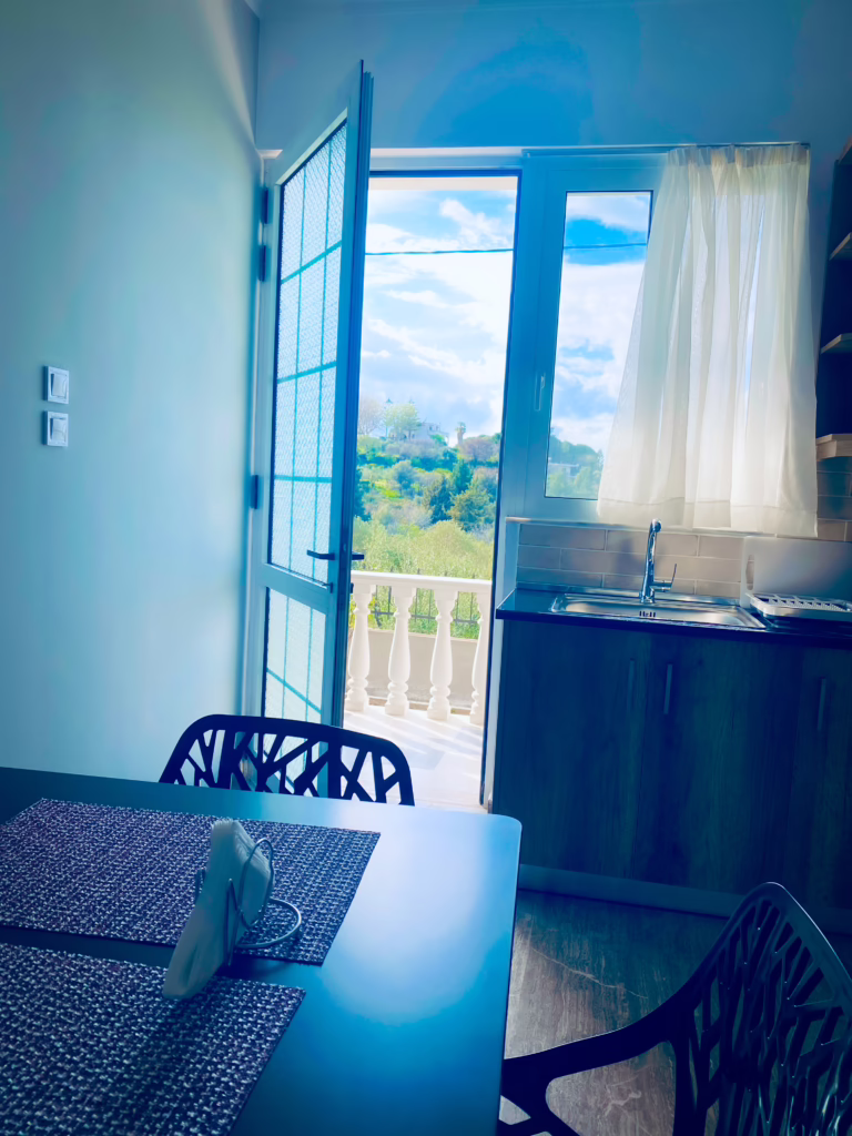 Die Ferienwohnungen Helios und Dion 11 Küche vom Helios Apartment