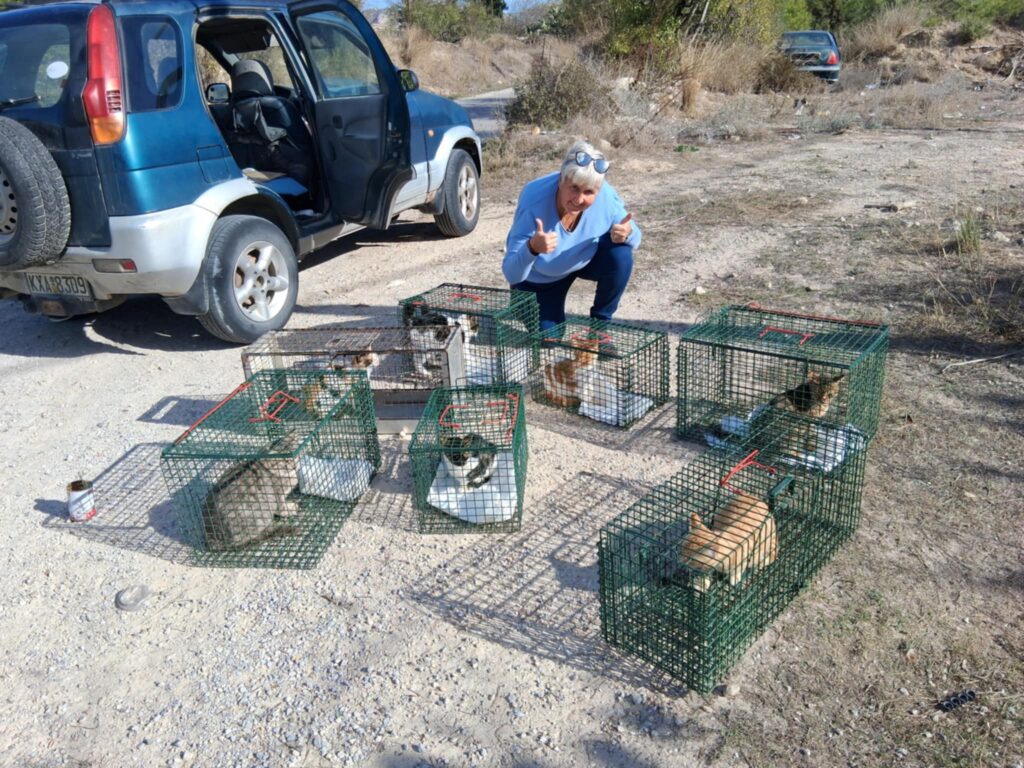 Michaela Kittys Of Kefalos 1 1